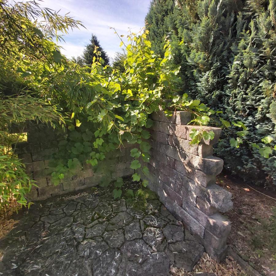 Apartment In Upper Floor In Nature Reserve. Hipstedt Luaran gambar